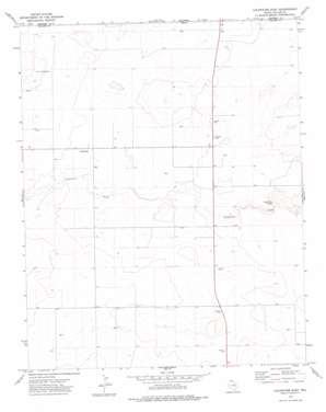 Coldwater East topo map