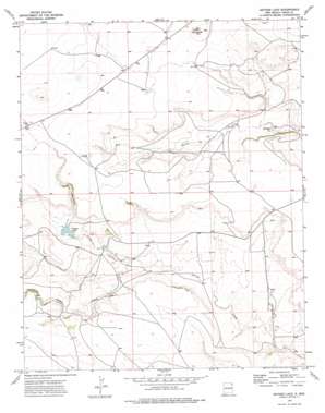 Snyder Lake topo map