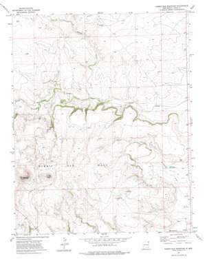 Rabbit Ear Mountain USGS topographic map 36103e2