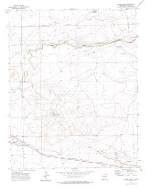 Mount Dora USGS topographic map 36103e4