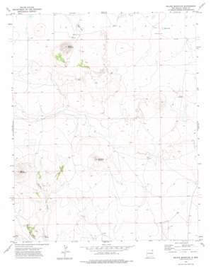Malpie Mountain USGS topographic map 36103e8