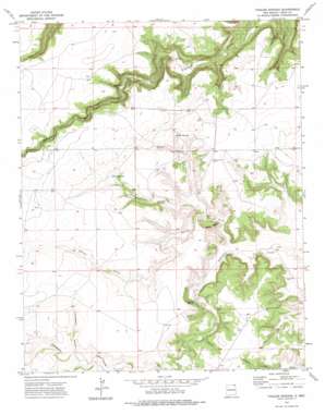 Fiddler Springs USGS topographic map 36103g5
