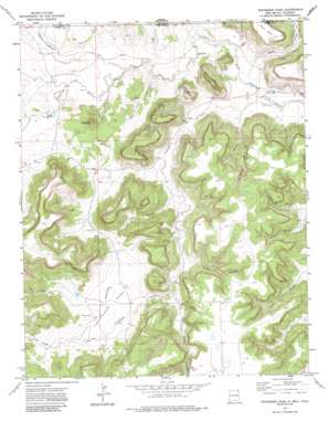Travesser Park USGS topographic map 36103h4
