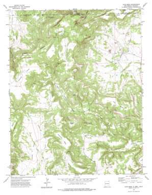 Alps Mesa USGS topographic map 36103h8