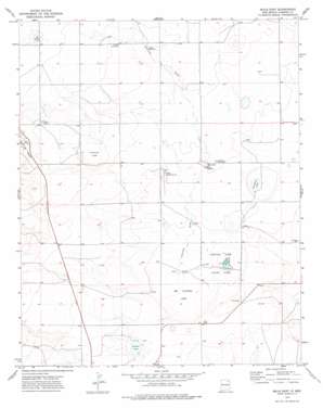 Mills East topo map