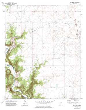 Mills West USGS topographic map 36104a3