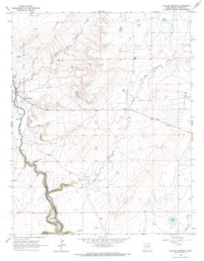 Taylor Springs topo map