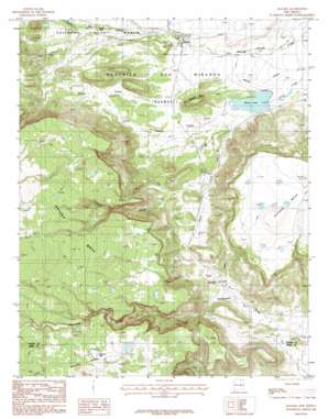 Rayado USGS topographic map 36104c8