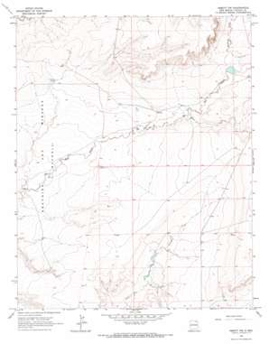 Abbott Nw USGS topographic map 36104d4
