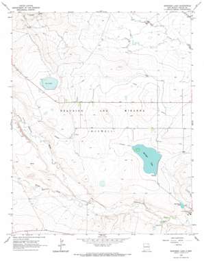 Springer Lake topo map