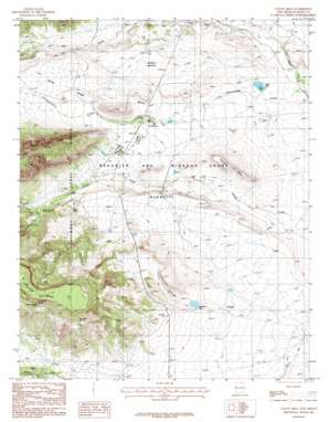 Coyote Mesa topo map