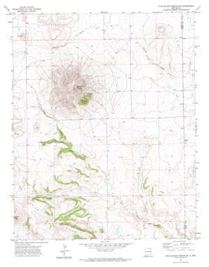 Palo Blanco Mountain USGS topographic map 36104e1