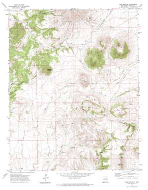Pine Buttes topo map