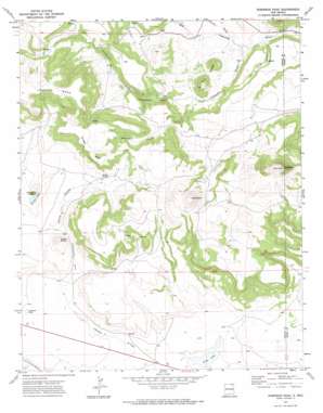 Robinson Peak USGS topographic map 36104g1