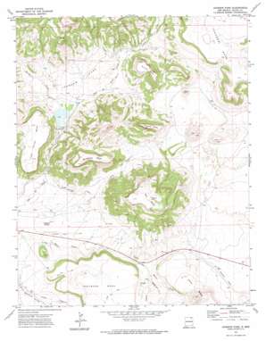 Johnson Park USGS topographic map 36104g2