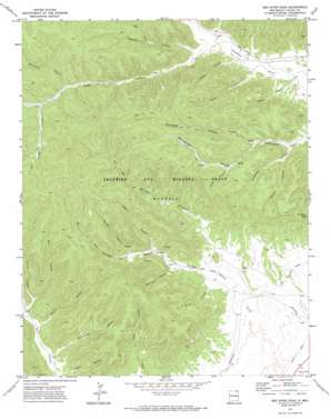 Red River Peak topo map