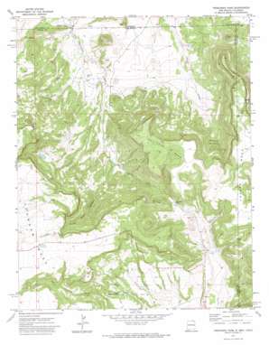 Trinchera Pass USGS topographic map 36104h1