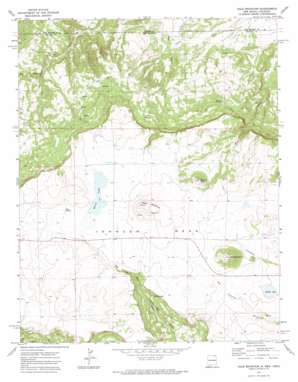 Dale Mountain USGS topographic map 36104h2