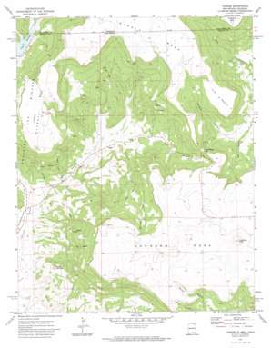 Yankee USGS topographic map 36104h3