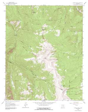 Jicarita Peak USGS topographic map 36105a5