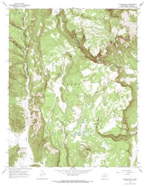 Guadalupita USGS topographic map 36105b2