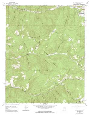Shady Brook topo map