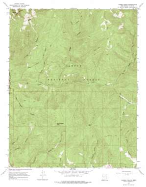 Pueblo Peak topo map