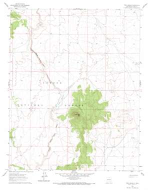 Tres Orejas USGS topographic map 36105d7