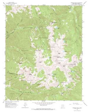 Wheeler Peak USGS topographic map 36105e4