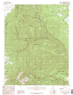 Baldy Mountain USGS topographic map 36105f2