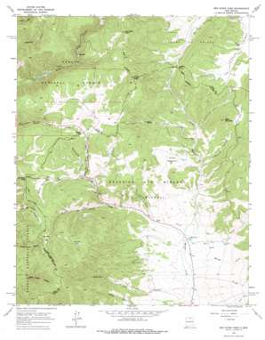 Red River Pass topo map