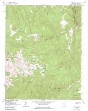 Latir Peak USGS topographic map 36105g4