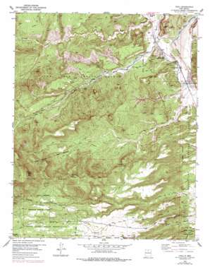 San Juan Pueblo USGS topographic map 36106a2