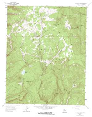 Nacimiento Peak USGS topographic map 36106a7