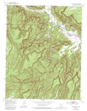 Laguna Peak USGS topographic map 36106c6