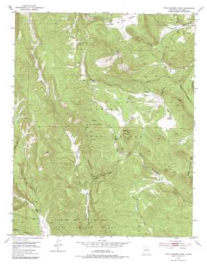 Valle Grande Peak USGS topographic map 36106d2