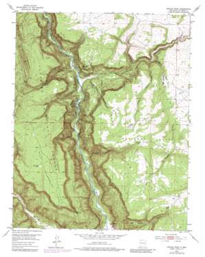 Navajo Peak USGS topographic map 36106d6