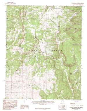 Canjilon Mountain USGS topographic map 36106e3