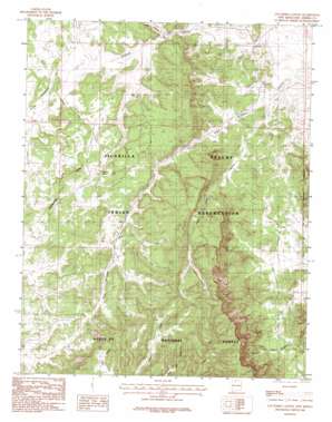 Los Indios Canyon USGS topographic map 36106e8