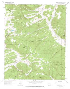 Burned Mountain USGS topographic map 36106f2