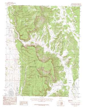 Apache Mesa topo map