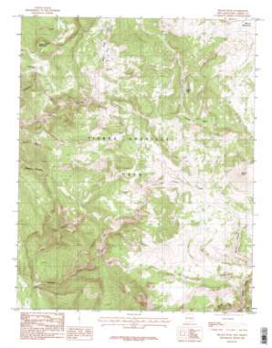 Brazos Peak USGS topographic map 36106g4