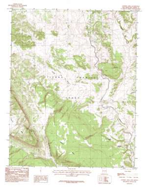 Sawmill Mesa topo map