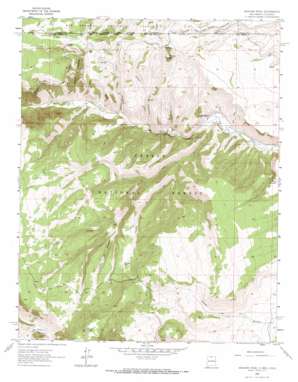 Bighorn Peak USGS topographic map 36106h2