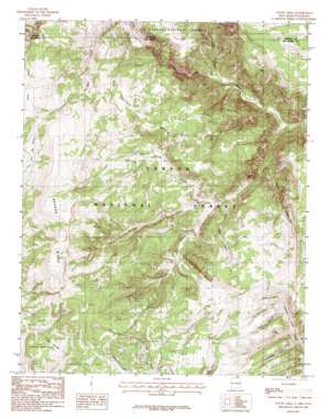 Toltec Mesa topo map