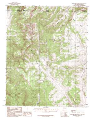 West Fork Rio Brazos USGS topographic map 36106h4