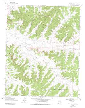 Billy Rice Canyon topo map