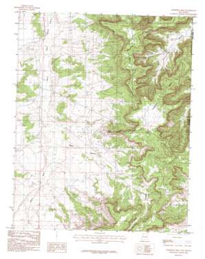 Thompson Mesa topo map