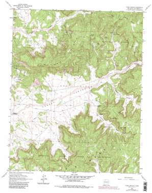 Vigas Canyon USGS topographic map 36107e3