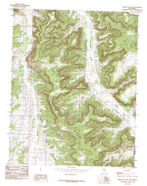 Fresno Canyon USGS topographic map 36107e6
